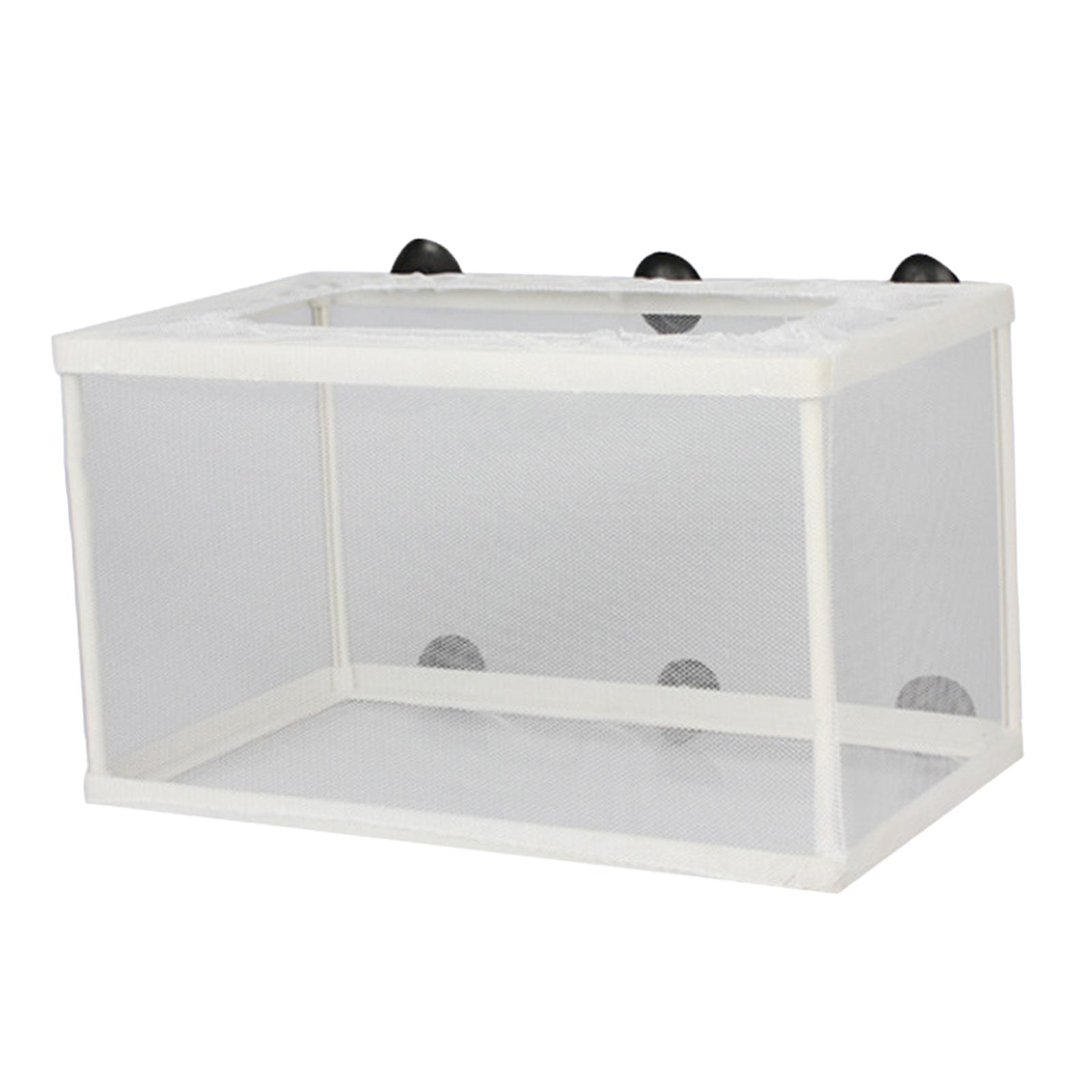 Lab Incubator - Fish Breeder Box para recém-nascidos, juvenis,