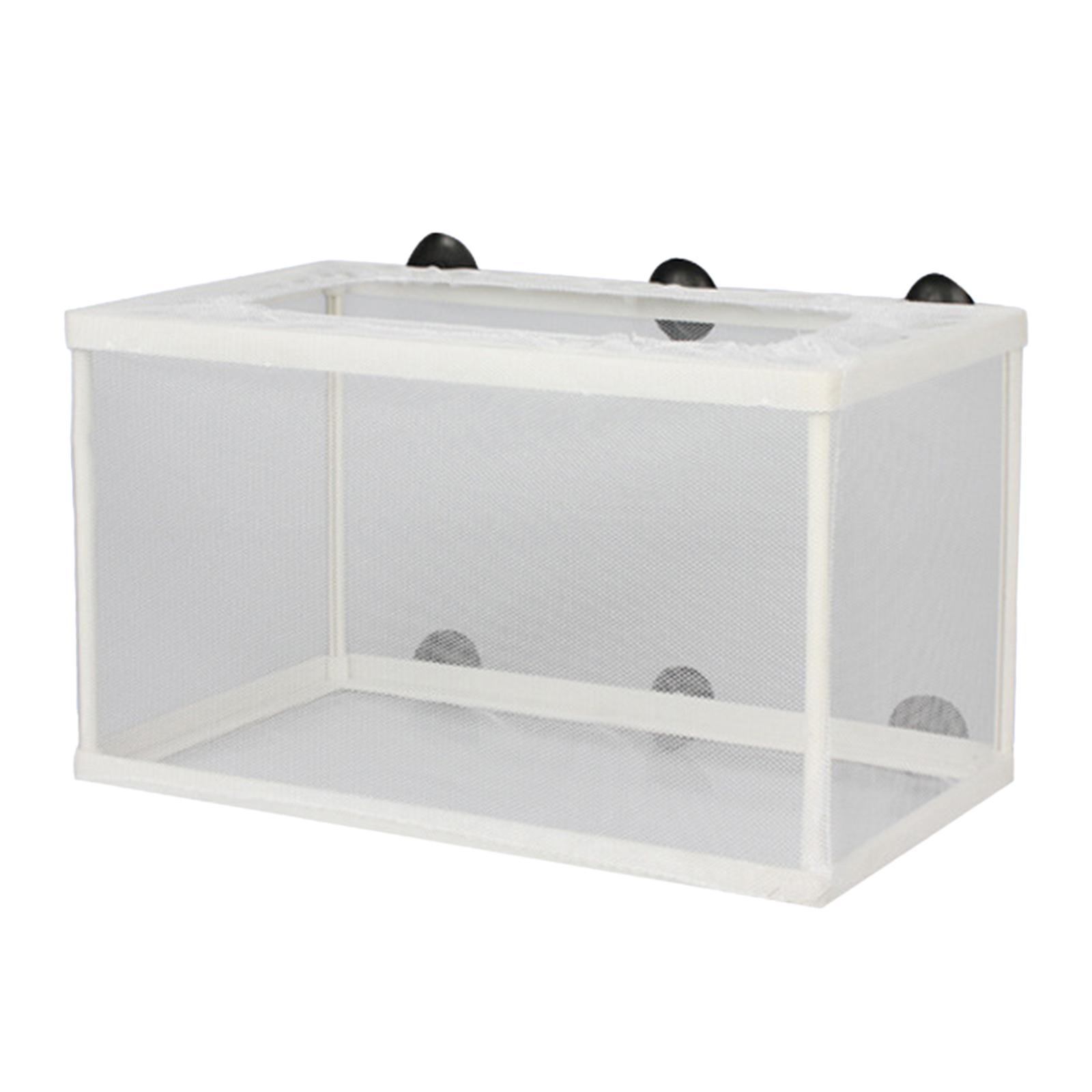 Fish Breeder Box para recém-na - Lab Incubator avaliação e preço