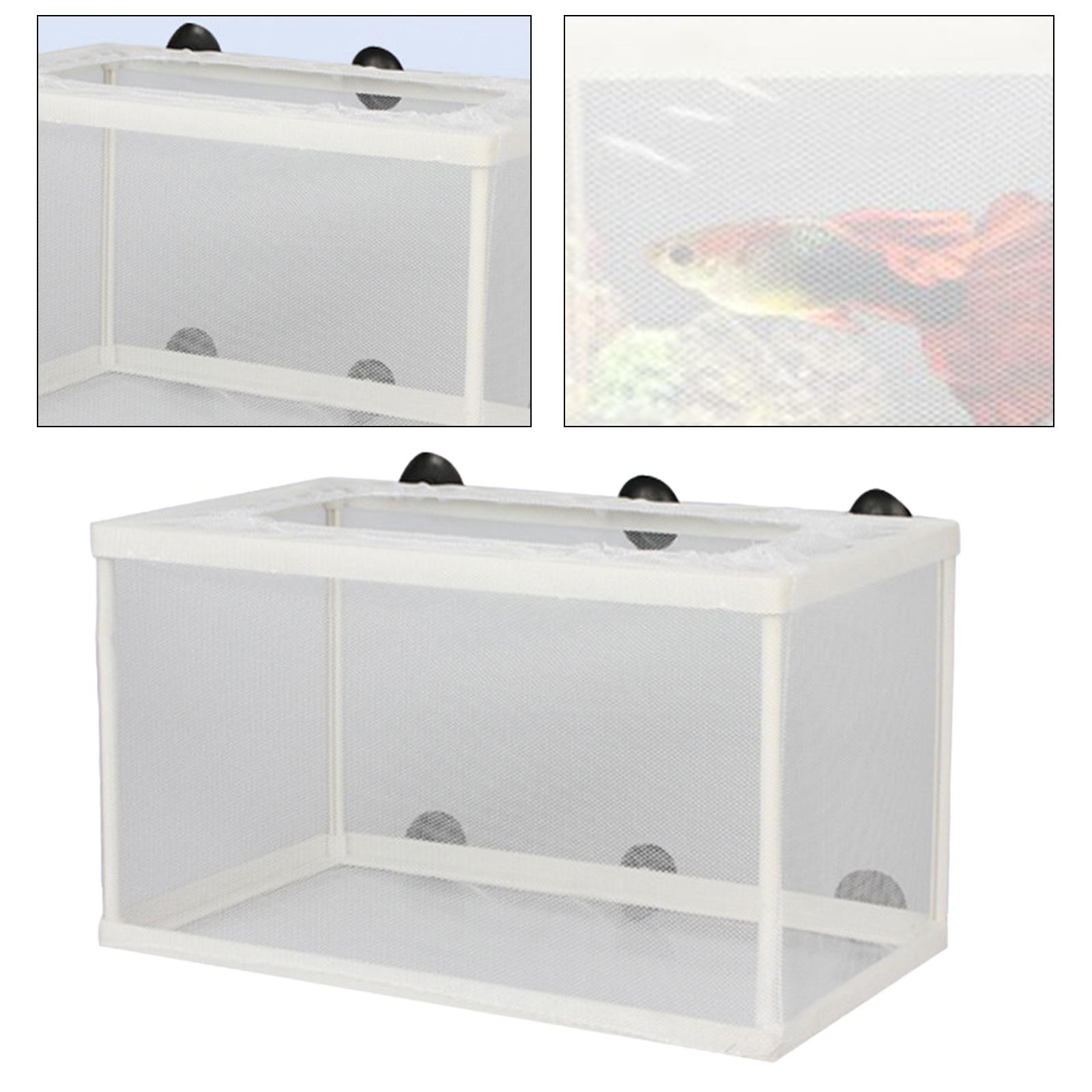 Fish Breeder Box para recém-na - Lab Incubator avaliação e preço
